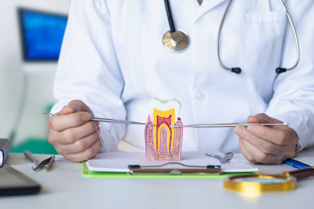 Best Dentist for Tooth Abscess  in Mallory, WV
